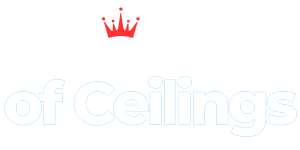 BlueFlux Agency client logo – Master of Ceilings